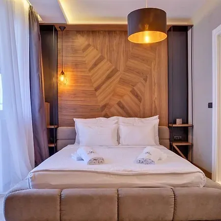 招待所 Black Pearl Luxury 贝尔格莱德