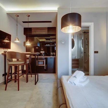 招待所 Black Pearl Luxury 贝尔格莱德