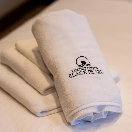 Black Pearl Luxury 4* 贝尔格莱德