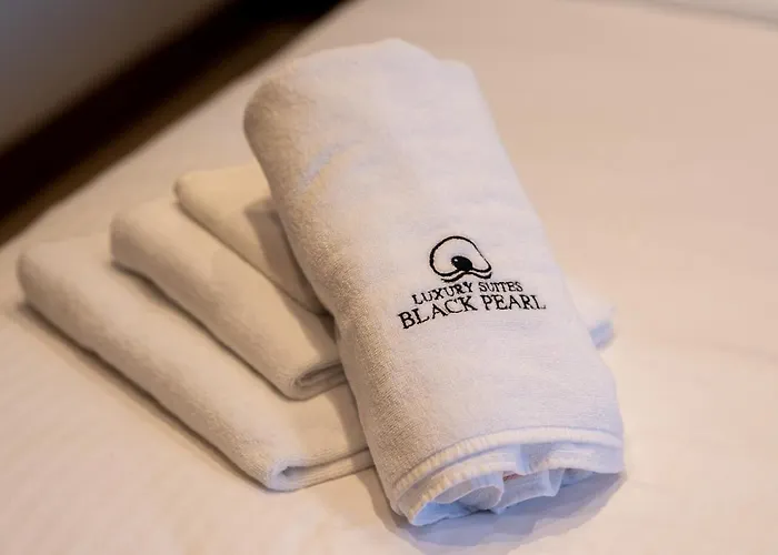 Black Pearl Luxury 4* ベオグラード